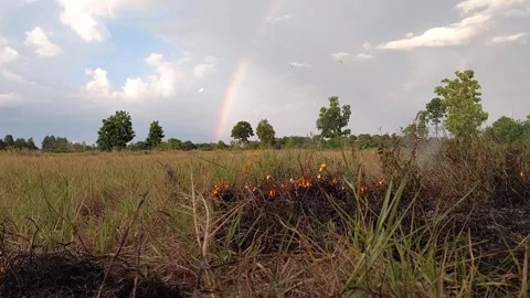 Small grass fire burning in dry field with a rainbow in the sky Stock-Footage 335722807