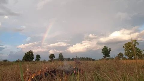 Small grass fire burning in rice field with beautiful cloudy sky and rainbow Video stock 335731411