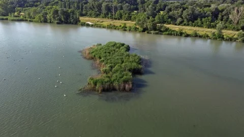 Small grass island on the Danube river Stock Footage 252308561