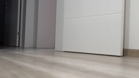 Small gray cat (Korat breed) runs away quickly from left room to right room Stock Footage 129263450