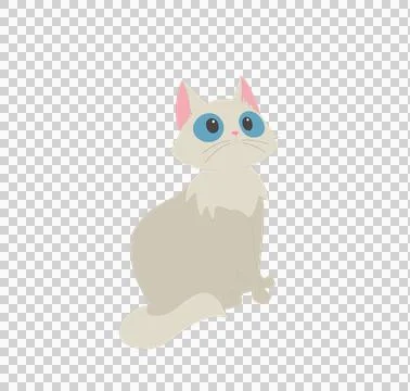 Small gray fluffy cat with blue eyes on a transparent background Stock Illustration