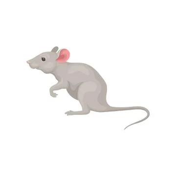 Small gray mouse standing on hind legs, side view. Domestic mice. Cute rodent Illustrazione stock