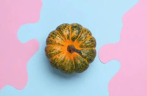 Small green and orange pumpkin on pastel background Stock Photos