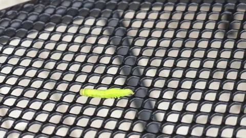 Small green caterpillar crawls across black mesh surface Vídeo Stock 340433746