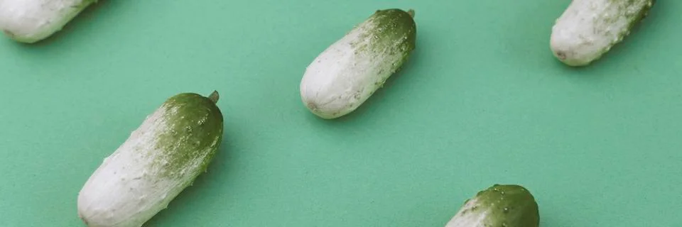 Small green cucumbers pattern Stock Photos
