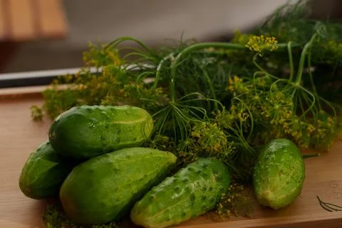 Small green cucumbers. Fotos Stock