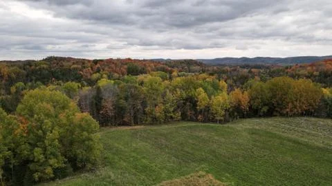 Small green field surrounded by a lush colorful autumn forest Stock Photos