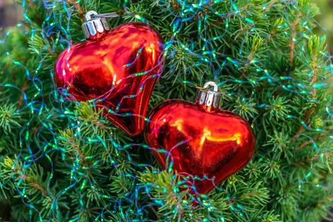 A small green fir tree with two red glass hearts with rainbow Christmas decor 写真素材