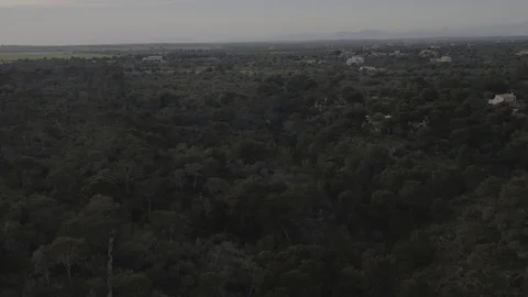 Small green forest and farm houses, aerial drone shot, Mallorca, raw in 4K. Stock Footage 89864756