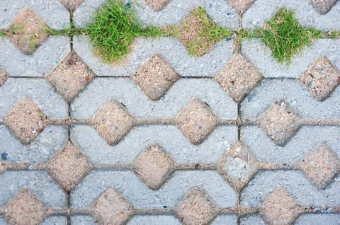 Small green grass pattern ground Stock Photos