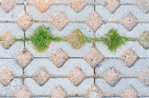 Small green grass pattern ground Stock Photos