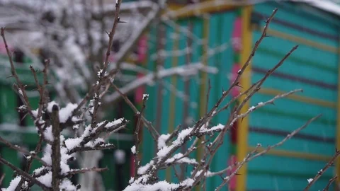 Small Green House under Snowfall Stock Footage 86505311