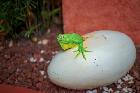 Small green iguana statue emerging from white egg Stock Photos