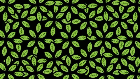 Small green leaf flower background animation Video stock 249031953