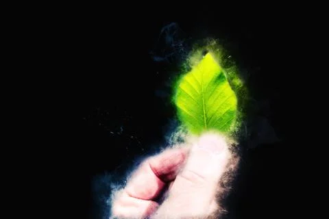 Small green leaf held by hand - environmental protection concept Stock Photos