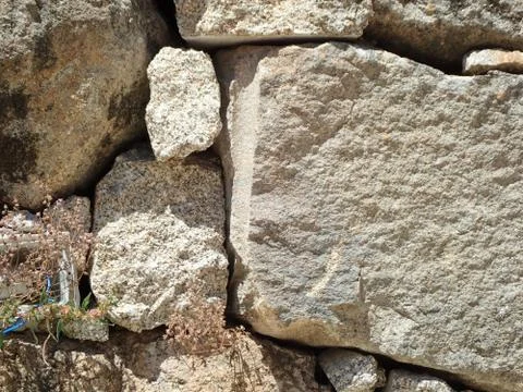 Small green lizard and grey or white rock wall Stock Photos