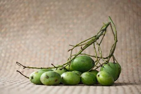 Small green mango stack (still life) Foto stock