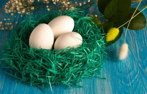 Small green nest with white eco eggs on wooden background Stock Photos