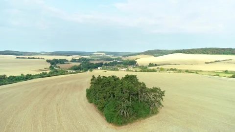 Small Green Patch in Drought Struck Field - Haute Marne, France 4K Drone Footage Stock Footage 259847517