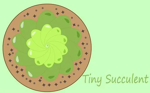 Small green succulent Stock Illustration