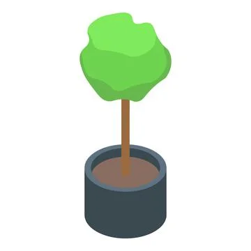 Small green tree growing in a pot isometric view Stock Illustration