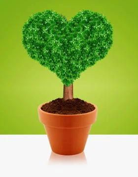 Small green tree Stock Photos