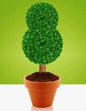 Small green tree Stock Photos