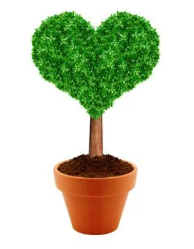 Small green tree Stock Photos
