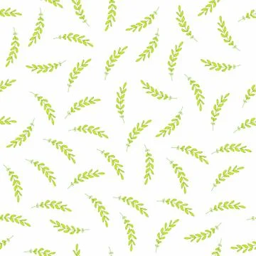 Small green twigs seamless pattern on white background. Hand drawn simple floral Stock Illustration