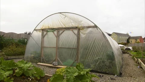 A small greenhouse Stock Footage 87726723