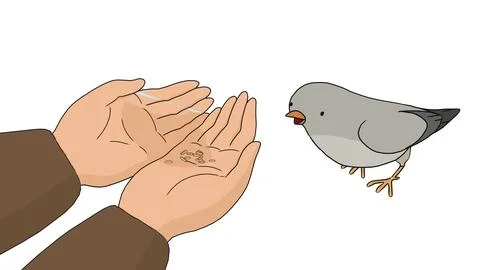 Small grey bird on open hand with another bird nearby feeding and care Stock-Illustration