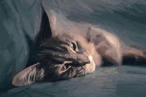 Small grey kitten fall asleep while was hiding between tow pillows. Gouache d 库存照片