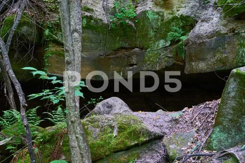 A small grotto, a gorge in the forest. Natural background. ~ Premium ...