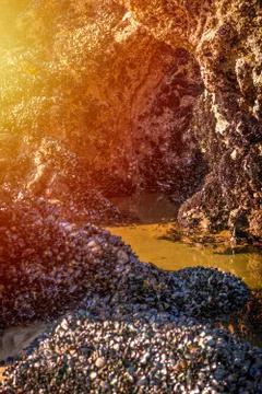 Small grotto open at low tide. Stock Photos