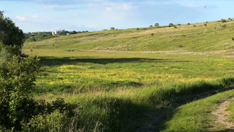 Small Group of Barn Swallows with Long, Deeply Forked Tail, Flying Around Vidéo 280465244