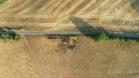Small Group of Cows, One Escaped - Haute Marne, France 4K Drone Footage Stock Footage 259847445