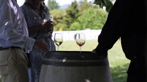 Small group drinking wine at small get together party	 Vídeos de archivo 122610733