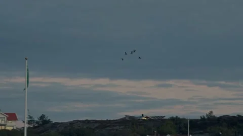 Small group of geese fly at dusk. Stock Footage 219170275