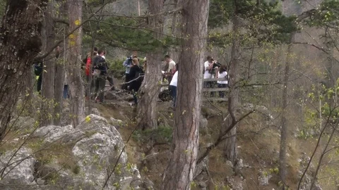 Small Group of People in the Forest Vídeo Stock 91245646