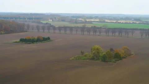 Small group of trees on big empty field 4K Stock Footage 236723575