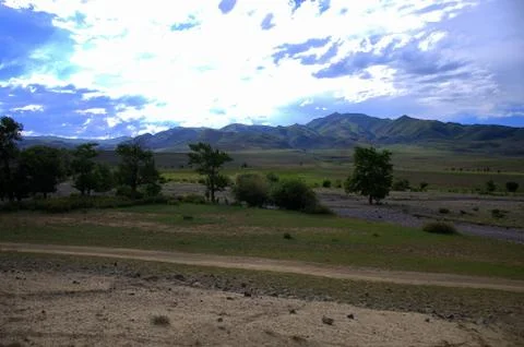 A small group of trees growing in the steppe, surrounded by snowy mountain ra Stock Photos
