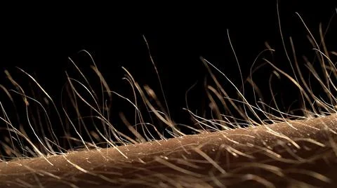 Small hairs on the surface of the skin Stock Photos