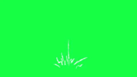 Small Hand Drawn Firework Pop Animation Stock Footage 319889173