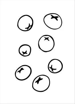 Small hand drawn outline berries singly. Vector illustration Rowan berries, v 스톡 일러스트