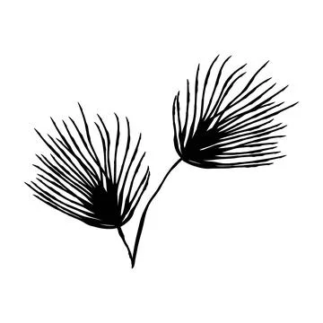Small hand drawn tuft of pine needles, minimal evergreen botanical accent p.. Illustrazione stock