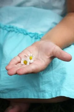 A small hand with small flowers Stock Photos