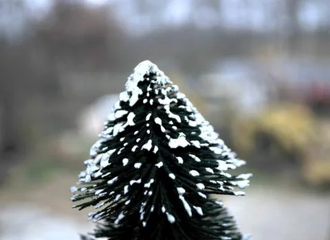Small handmade Christmas tree placed by the window 写真素材
