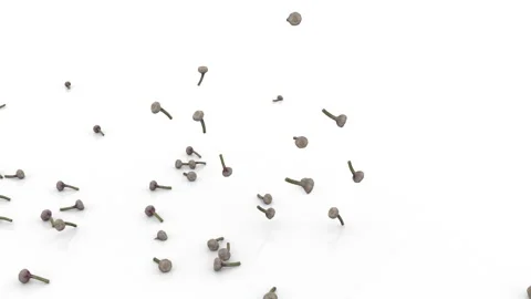 Small heads of garlic fall from above onto a white surface, bounce and fly in Stock Footage 155043061