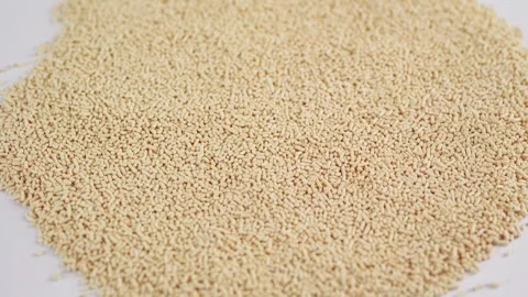 A small heap of dry active yeast granules centered on a clean white surface. Vidéo 333571140