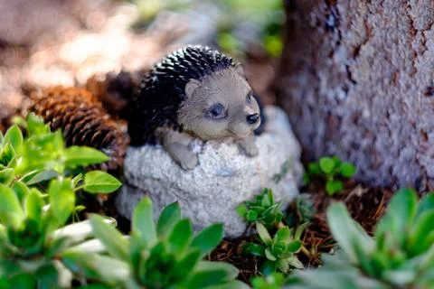 Small hedgehog Foto stock